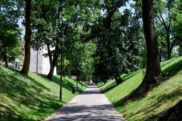 Romanya 'nın Transilvanya (Transilvanya) bölgesindeki Sibiu kentinin tarihi merkezinde, Citadel Parkı' nda (Parcul Cetatii) uzun bir ara sokak ve yeşil ağaçlar güneşli bir yaz gününde