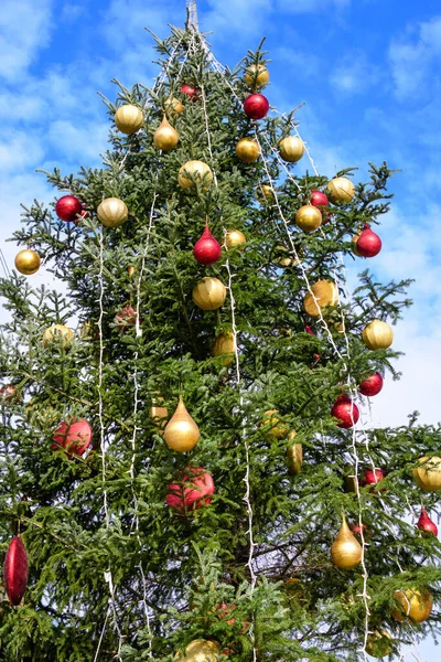 Large Decorated Green Tree Christmas Market Drumul Taberei Park Parcul — Stock Photo, Image