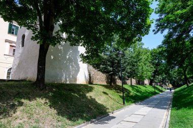Romanya 'nın Transilvanya (Transilvanya) bölgesindeki Sibiu kentinin tarihi merkezinde, Citadel Parkı' nda (Parcul Cetatii) uzun bir ara sokak ve yeşil ağaçlar güneşli bir yaz gününde
