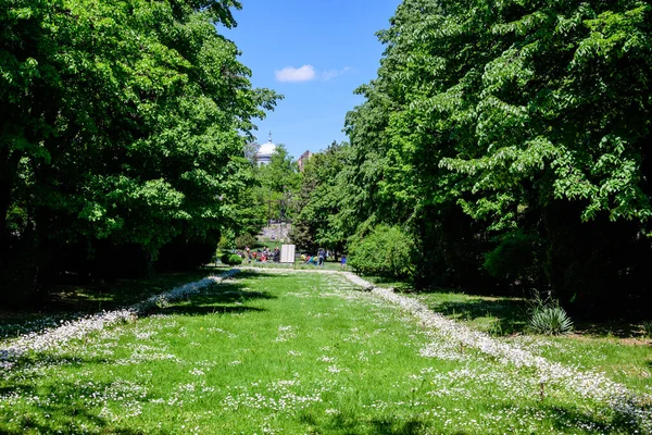 Boekarest Roemenië Mei 2021 Minimalistisch Tuinlandschap Met Lindebomen Groene Bladeren — Stockfoto