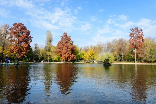 Bucharest Romania November 2021 Vivid Green Landscape Old Large Linden — Stock fotografie