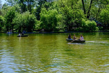 Bükreş, Romanya - 9 Mayıs 2021: Şehir merkezindeki bir halk parkı olan Cismigiu Bahçesi 'nde (Gradina Cismigiu) eski büyük ıhlamur ağaçları ve yeşil yapraklı canlı yeşil manzara