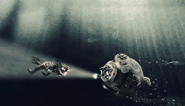 Renkli manzara tasarımının görünümü.