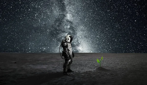 Bitkisi olan bir astronot.