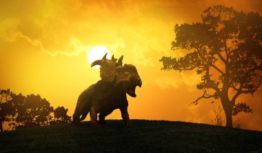 Tarladaki bir gergedanın silueti.