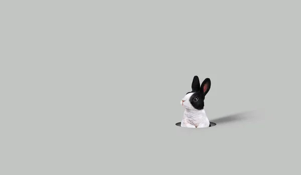Juguete Conejo Sobre Fondo Blanco — Foto de Stock