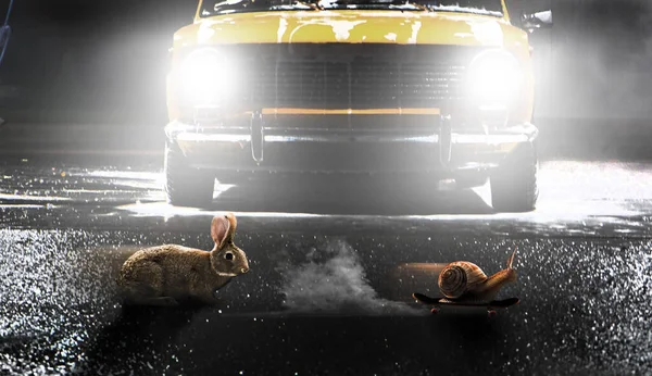 賢く考え 箱を考え 賢く働き 強く働き カタツムリはウサギと競争するのが賢いと思う — ストック写真