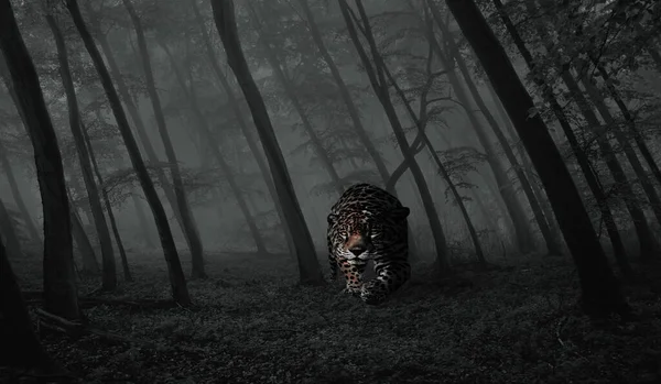 Yeşil ormanda yetişkin bir erkeğin portresi..