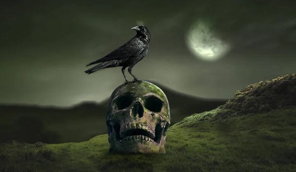 Orman manzarası duvar kâğıdı tasarımında insan kafatasında karga