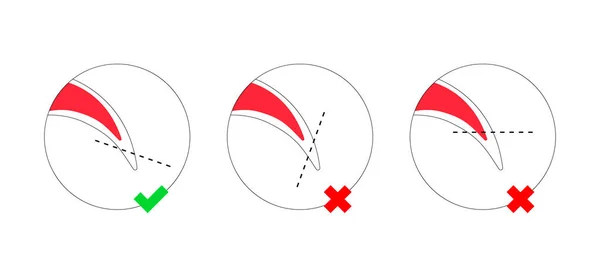 Ongles chien coupe icônes contour coloré — Image vectorielle