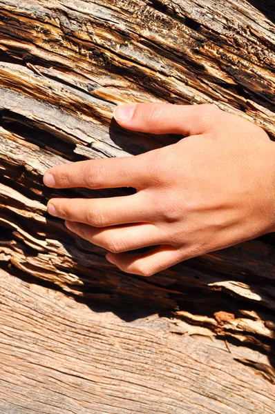 Hand on wood