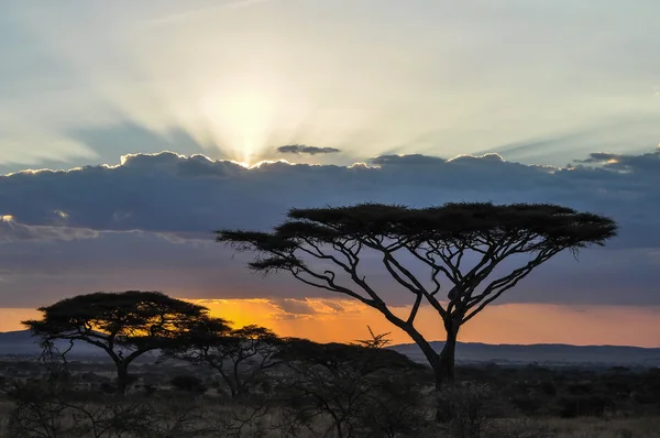 Pôr do sol — Fotografia de Stock