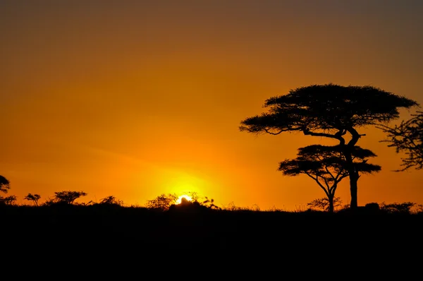 Tramonto in Africa — Foto Stock