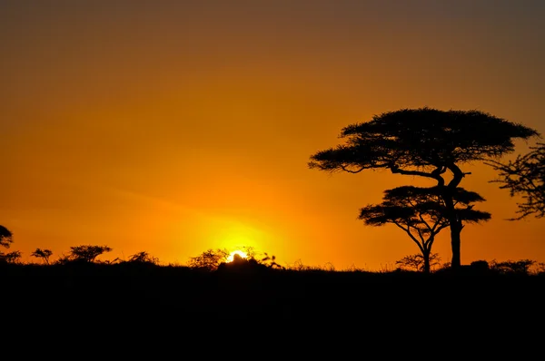 Sonnenuntergang in Afrika Stockbild