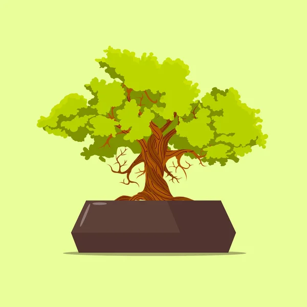 Vector Illustration Bonsai Tree Brown Pot Isolated Green Background — Stockvector