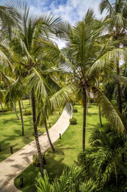 ve palm Beach