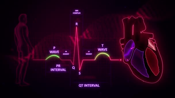 Ekg Wellen Auf Violettem Hintergrund — Stockvideo