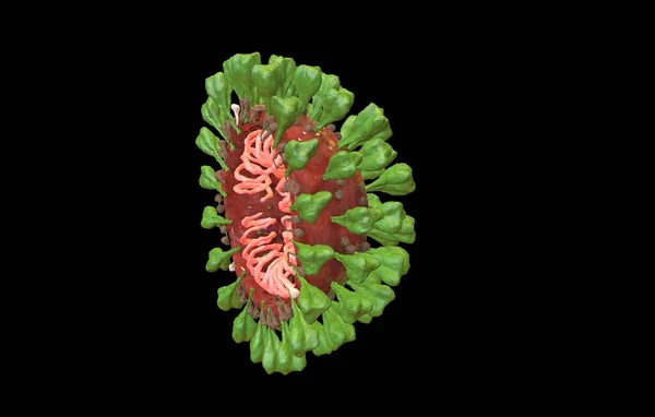 背景にウイルス細胞の3Dイラスト — ストック写真
