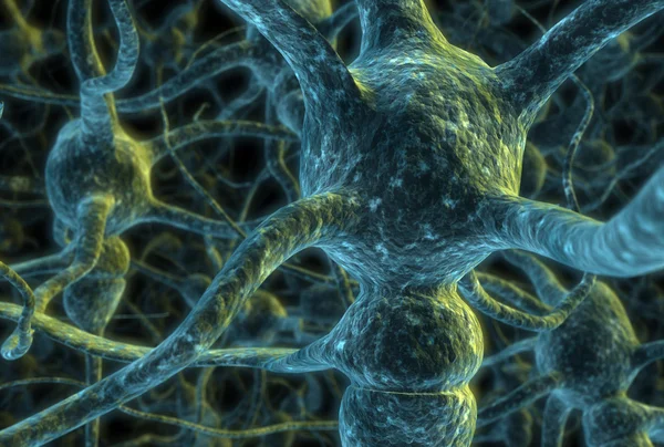 Nöron hücreleri Stok Resim