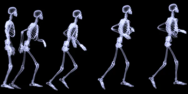 X-ray radiografii lidského těla (kostra) — Stock fotografie