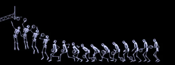 X-ray rafiography van huan lichaam (skelet) spelen basketbal Stockafbeelding