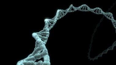 DNA iplikçik döner