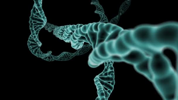 DNA iplikçik döner — Stok video