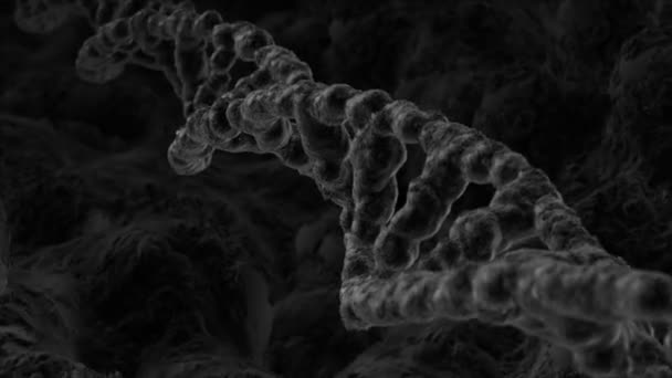 Вращающаяся цепочка ДНК — стоковое видео