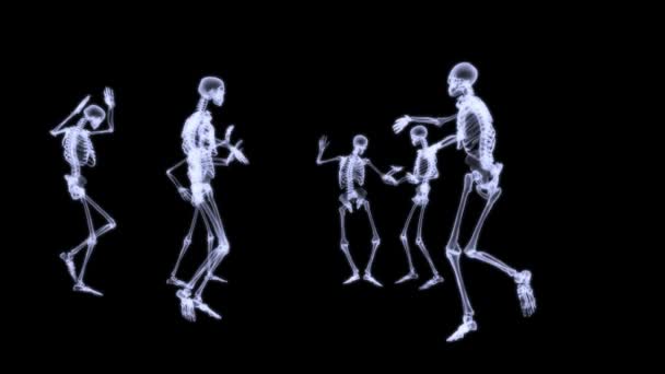 Radiografia a raggi X del corpo umano (scheletro ) — Video Stock