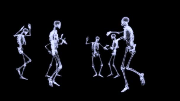 Radiographie par rayons X du corps humain (squelette )