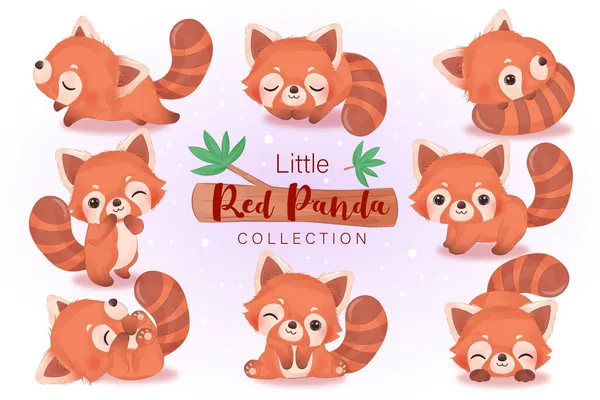 Urocze Dziecko Czerwony Panda Clipart Zestaw Akwareli — Wektor stockowy