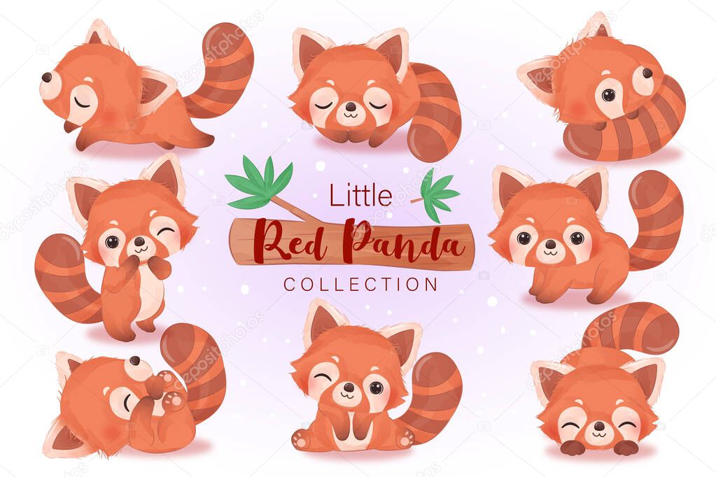 Adorable baby red panda clipart set in watercolor