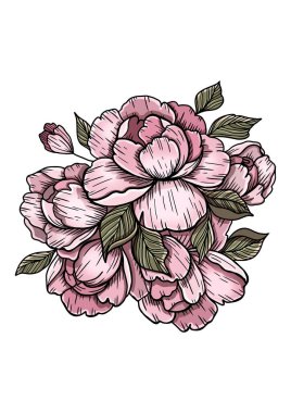 Yaprak ve yapraklarla çizilmiş büyük buket çiçekleri, güzel, çiçek açan şakayıklar yakın plan, yalıtılmış yumuşak bitki silueti, güzel, yaz doğa elementi.