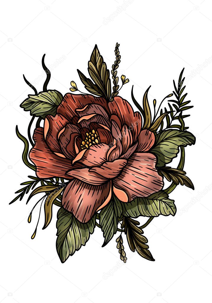 Large, drawn flower with big leaves and petals, a beautiful, blooming peony close-up, isolated silhouette of tender plant, beautiful, summer nature element without a background.
