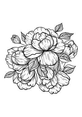 Yaprak ve yapraklarla çizilmiş büyük buket çiçekleri, güzel, çiçek açan şakayıklar yakın plan, yalıtılmış yumuşak bitki silueti, güzel, yaz doğa elementi.