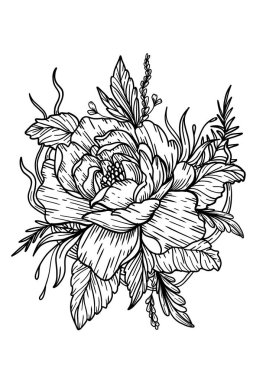 Büyük yaprakları ve yaprakları olan büyük, çizilmiş bir çiçek, güzel, çiçek açan yakın bir şakayık, narin bitkinin izole edilmiş silueti, arka planı olmayan güzel, yaz doğa elementi.