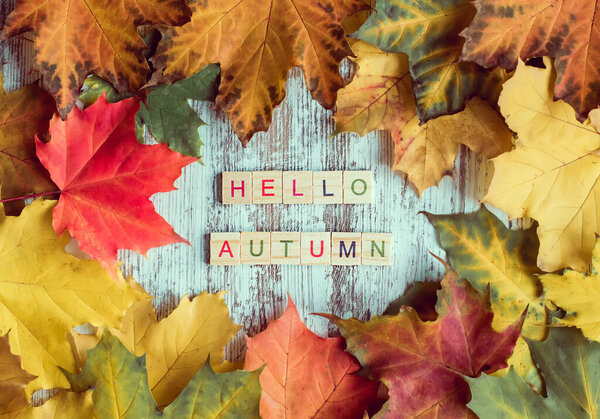 flatlay, autumn maple foliage, inscription "hello autumn" in wooden letters on the table. autumn background