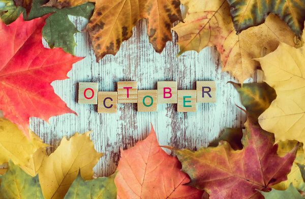 Flatlay, autumn colored maple foliage, inscription "October" in wooden letters on the table. Autumn background