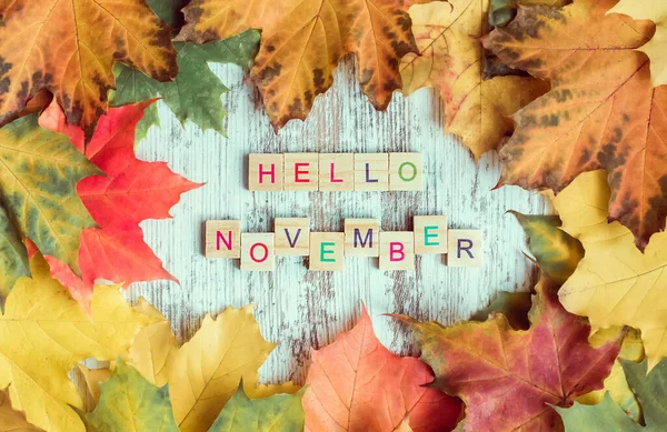 Płaskie Jesienne Kolorowe Liście Klonu Napis Hello November Drewnianych Listach — Zdjęcie stockowe