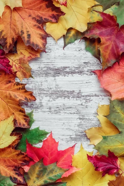 Herbst Hintergrund Aus Bunten Ahornblättern Mit Leerraum Für Bildunterschriften Hoher — Stockfoto