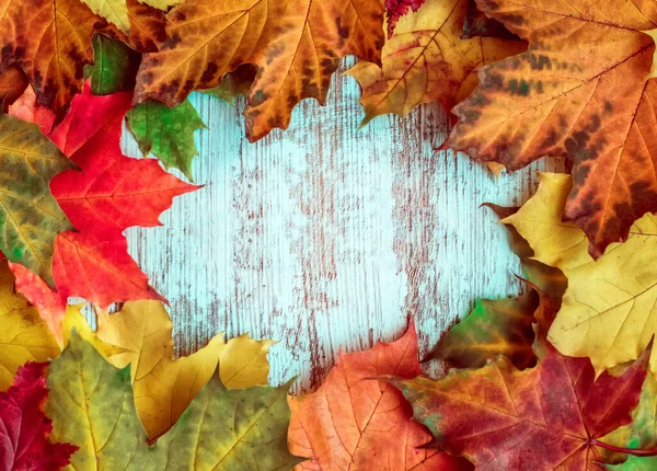 Herbst Hintergrund Aus Bunten Ahornblättern Mit Leerraum Für Bildunterschriften Hoher — Stockfoto