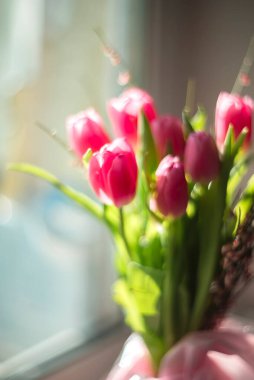 Güzel bir buket pembe lale. Seçici odaklanma. Bahar hala hayat