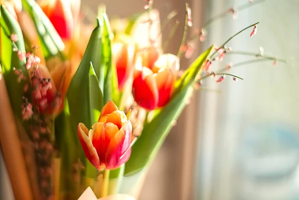 Beau Bouquet Tulipes Roses Concentration Sélective Printemps Nature Morte — Photo