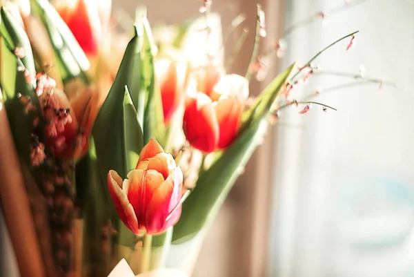 Beau Bouquet Tulipes Roses Concentration Sélective Printemps Nature Morte — Photo