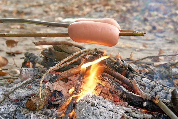 Würstchen werden in der Natur am Feuer gebraten — Stockfoto