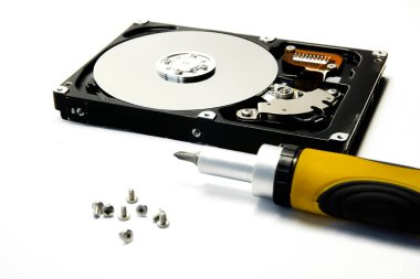 Açık hard disk ve tornavida beyaz arka planda izole edildi. Bilgisayar sabit diski HDD. bilgisayar belleği.