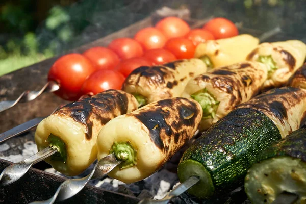 Cooking Fresh Vegetables Grill Barbecue Eggplants Peppers Tomatoes Skewers Grill — Foto de Stock