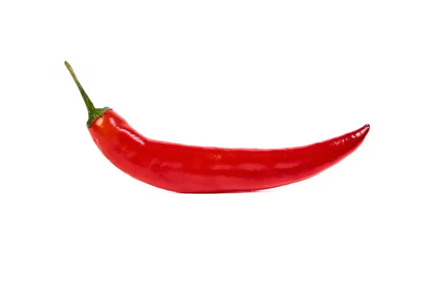 Red Hot Pepper String Isolated White Background Clipping Path — Stok fotoğraf