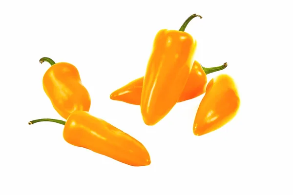 Group Yellow Hot Jalape Peppers Isolated White Background — Stock Photo, Image