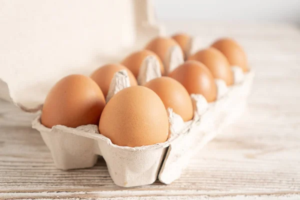 Biologisch eierpakje geïsoleerd op wit. Kip bruin verse rauwe eieren in een ei container. Eieren in eierschaal. Rechtenvrije Stockafbeeldingen